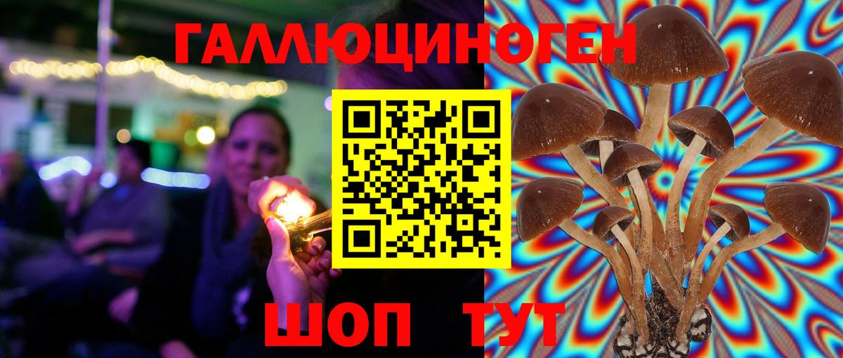 Псилоцибиновые грибы GOLDEN TEACHER  Вход с VPN  Каспийск  Псилоцибиновые грибы GOLDEN TEACHER 