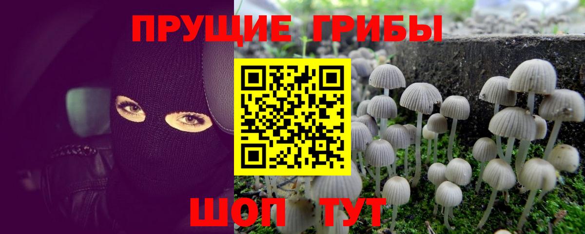 ГАШ  КОКАИН  ГЕРОИН  A PVP СОЛЬ кристаллы  МЕФ   Вход с VPN  ЭКСТАЗИ  Каспийск  Конопля  Гашиш 